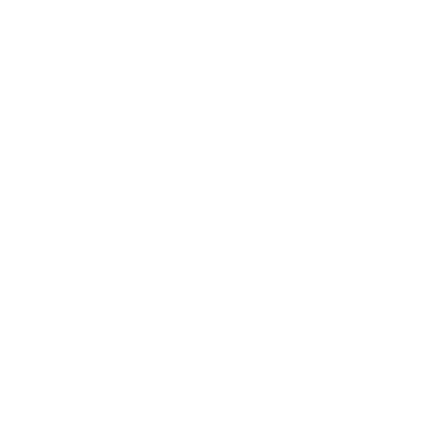 Electric Guitar With Wings