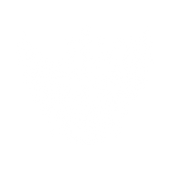 Electric Guitar With Wings