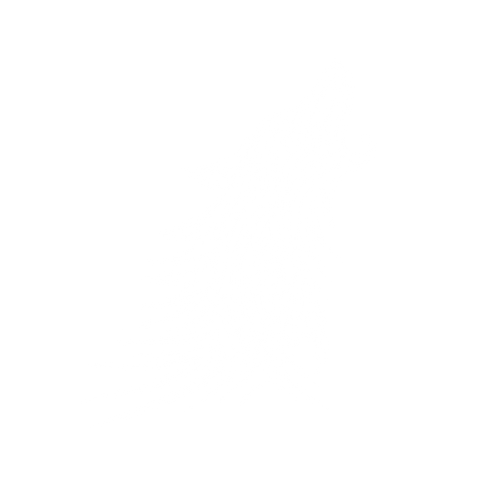 Stylized Agressive Wolf