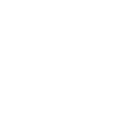 Stylized Agressive Wolf