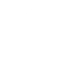 Patterned Snake Cobra