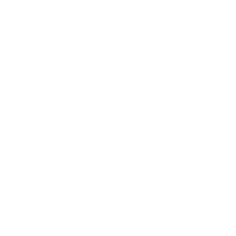 Beautiful Sea Mermaid