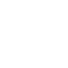 Beautiful Sea Mermaid