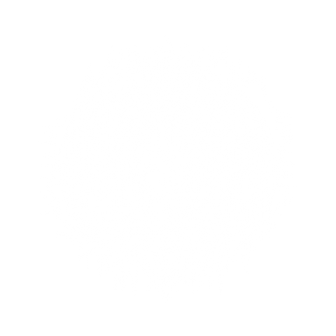 Dias de los Muertos Girl