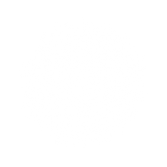 Dias de los Muertos Girl